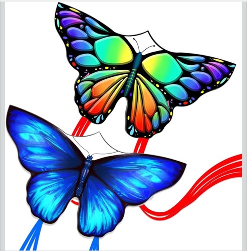 Pair kites for kids - pair,