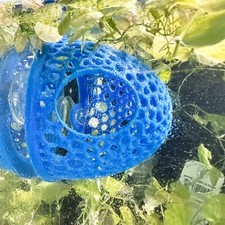 Betta Fish Tank Cave Hammock