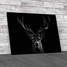 The Deer Head Stag Buck Canvas