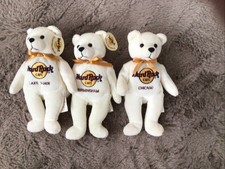 Peter Beara Hard Rock Cafe