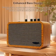 1-10W Electric Guitar Amp