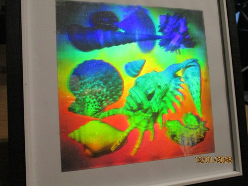 Hologram tropical sea - , "tropical