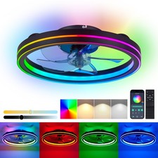 19" LED RGB Ceiling Fan Light