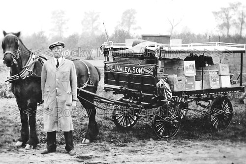 Azc greengrocer maley - azc-99, j.
