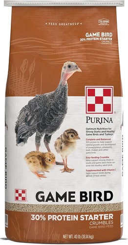 Game bird turkey protein - game, +
