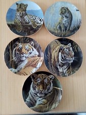 Big Cats Collectors Plates