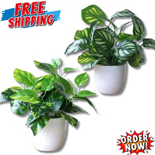 2Pcs Artificial Foliage Plant