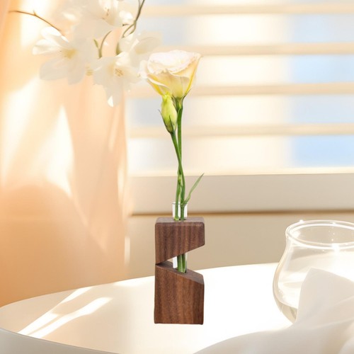 Hydroponic vase terrarium - hydroponic,