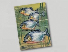 Fridge Magnet . Piranha Fish 