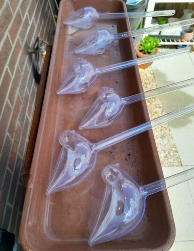 Clear plastic plant watering - clear,