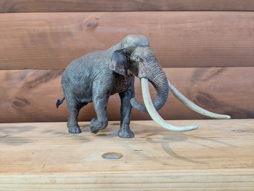 Eofauna straight tusked - eofauna, straight-tusked