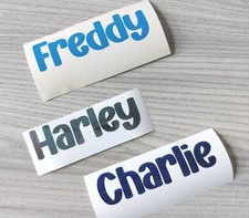 Personalised Vinyl Name