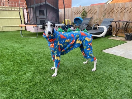 Dog dinosaur fleece - dinosaur,