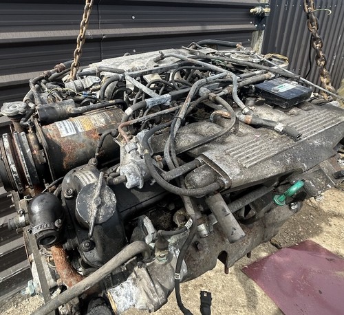 Jaguar xjs v12 engine low - xjs,