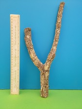 Cork bark branch - bark,