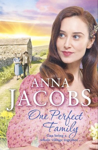 One perfect family - , (paperback)