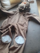 Gruffalo Costume Aged 5/6 Years