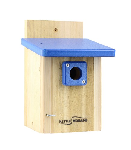 Kettle moraine wren - kettle,