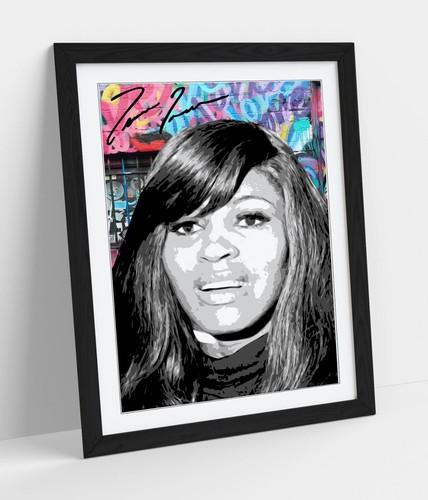 Tina turner graffiti - turner, style