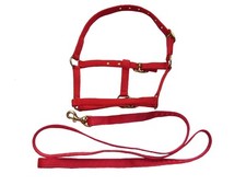Mini Headcollar + Lead Rein