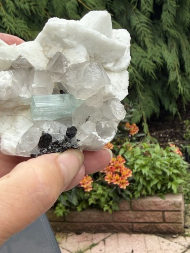 Mica/Tourmaline/Quartz/Aquamar