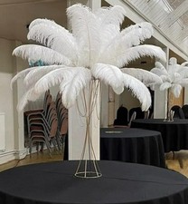 5 x XL White Ostrich Feathers
