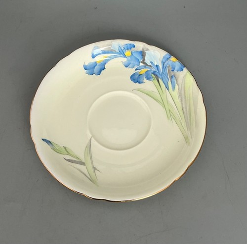 Shelley blue iris - shelley,