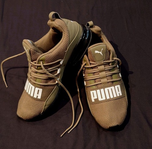 Puma cell regulate - regulate, in