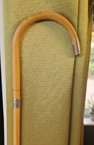 Antique walking stick - antique, silver