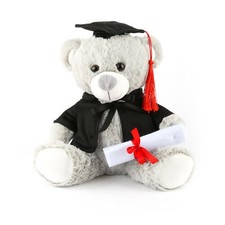 9" UNIVERSITY GRADUATION BEAR