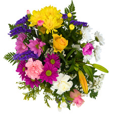 Fresh flowers delivered - flowers, next