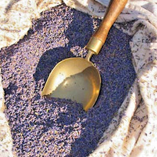 LAVENDER -  EXTRA FRAGRANT