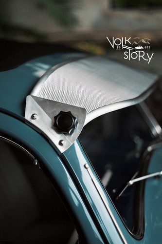 Volkswagen beetle bug - beetle,