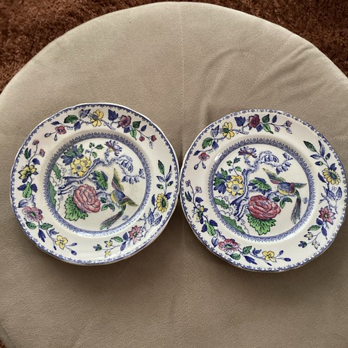 Davenport floral bird - davenport,
