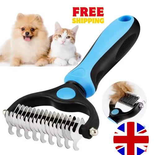 Pet cat dog - cat, hair