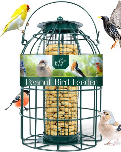 Bird feeder peanut - feeder,
