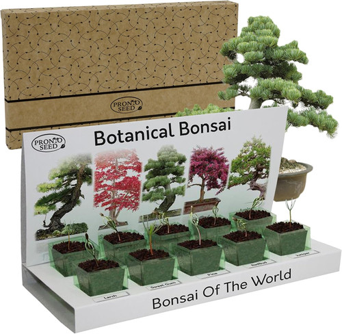 Grow your own bonsai - your,