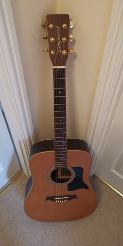 Tanglewood tw15 ovangkol dlx - tanglewood,