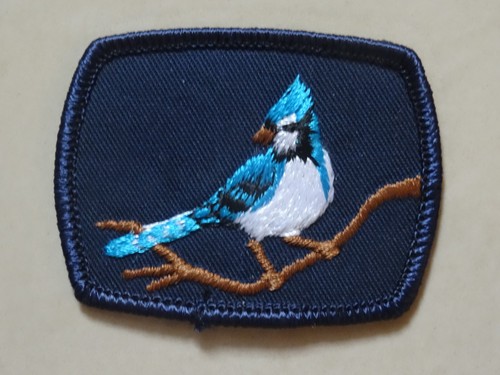 Blue jay patrol scout - jay,