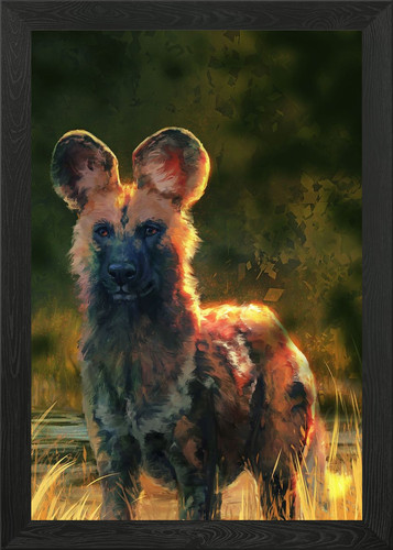African wild dog - african, wall