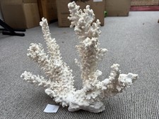 Natural Coral Skeleton for Aquarium Extra Large Genuine Fish Tank Decor