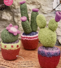 Felted Cactus Cacti Plant Home Decor Super Chunky KNITTING PATTERN