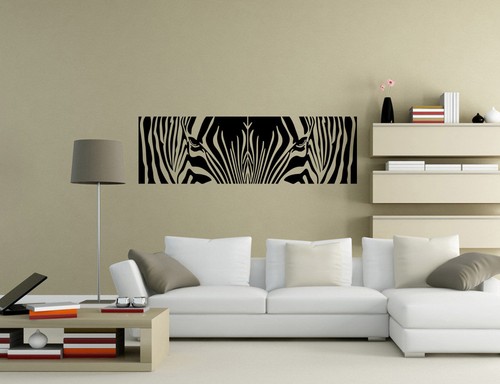 Zebra safari cool - zebra,