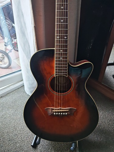 Washburn ea18ts - washburn,
