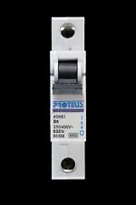 PROTEUS 6 AMP CURVE B 6kA MCB