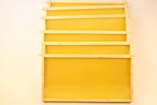 Assembled Langstroth Brood Bee