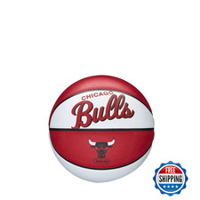 WILSON NBA Team Retro Mini
