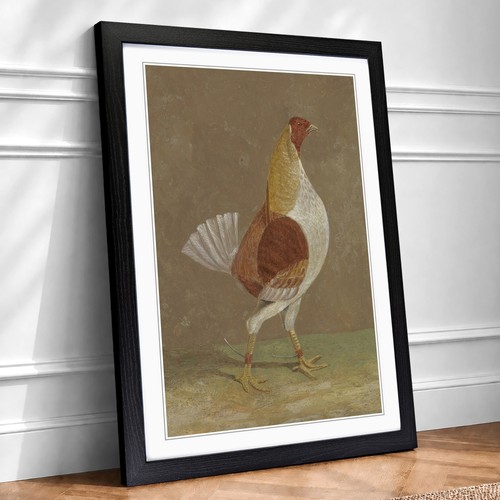 Fighting cock vol john - cock, vol.2