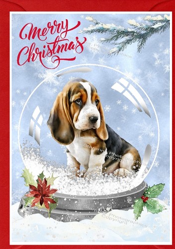 Basset hound puppy - dog, a6