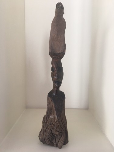 Stunning beautiful ebony wood - ebony,